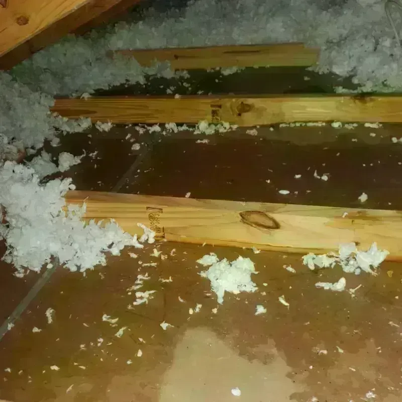 Attic Water Damage in Middletown, OH