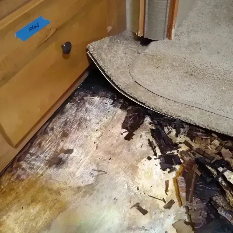 Wood Floor Water Damage in Middletown, OH